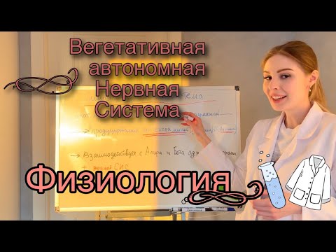 Видео: Вегетативная нервная система|Физиология|Метасимпатическая нервная система