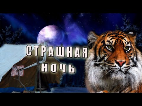 Видео: /Встреча с тигром/Рассказ старого охотника/