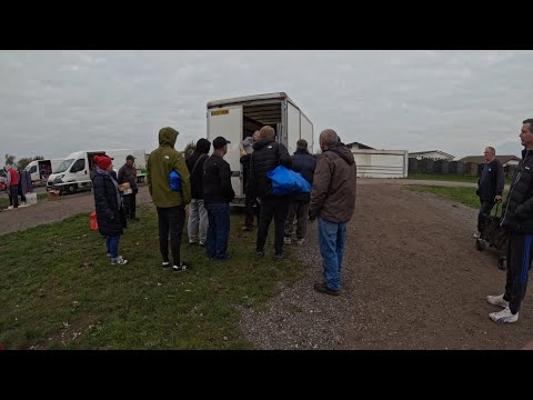 Видео: Поиск выгодных предложений для продажи на eBay, Торкси, автомобильный магазин #охота за выгодными...