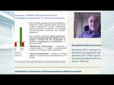 Видео: Роль кишечной микробиоты в развитии и прогрессировании фиброз печени