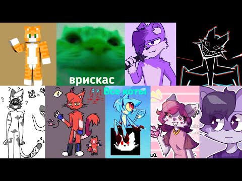 Видео: Все коты Бискаса+разбор клипа буду стоять