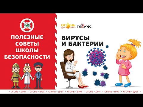 Видео: Вирусы и бактерии | Советы Школы Безопасности