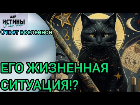 Видео: ✅🔯⁉️🔯✅ ЕГО ЖИЗНЕННАЯ СИТУАЦИЯ ⁉️⁉️⁉️⁉️⁉️🔯✅