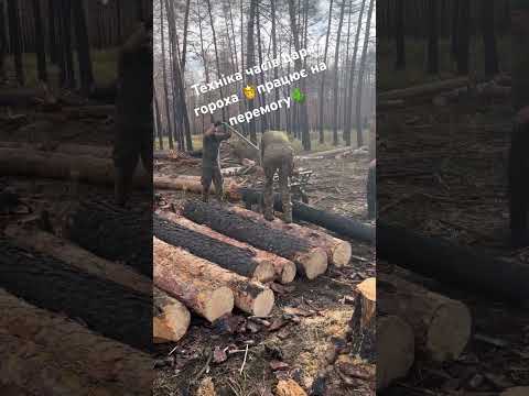 Видео: Бліндаж війська🪖