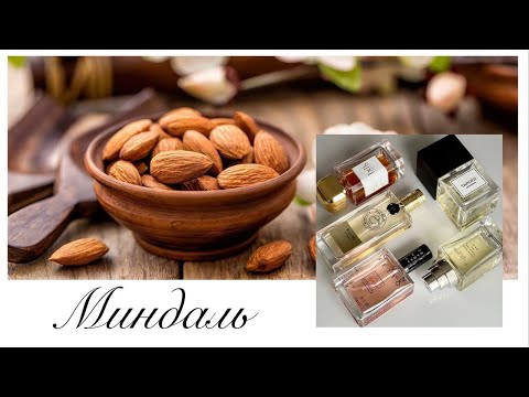 Видео: Миндаль // Profumum Roma // Parfums de Nicolai // BDK // Carner Barcelona // The Different Company