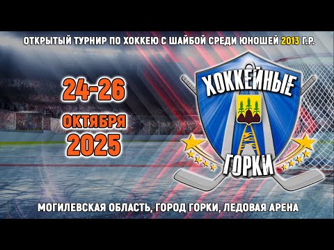 Видео: 26.10.2025. ХГ. 2013. Финал. Dark Shark - Pro Hockey