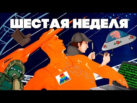 Видео: Шестая неделя