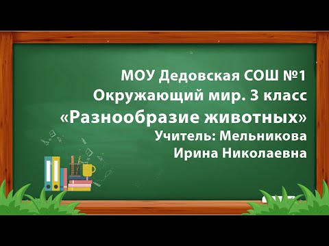 Видео: Открытый урок "Разнообразие животных". Мельникова И.Н