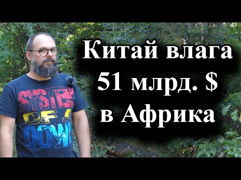 Видео: Над 50 делегации от африканските държави посетиха Пекин - 08.09.2024 г.