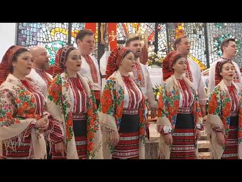 Видео: "Через поле широкоє" Дмитро Цимбал. Хор Верьовки. Veryovka