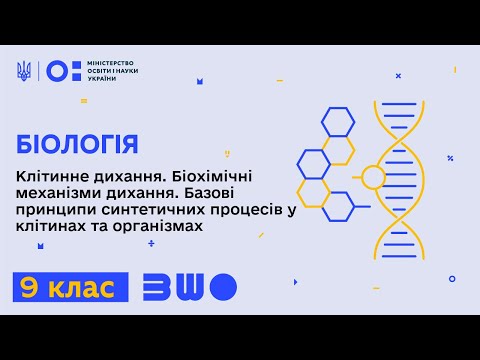 Видео: 9 клас. Біологія. Клітинне дихання. Біохімічні механізми дихання