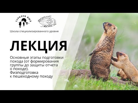 Видео: Основные этапы подготовки похода. Физподготовка к пешеходному походу. СУ 2025