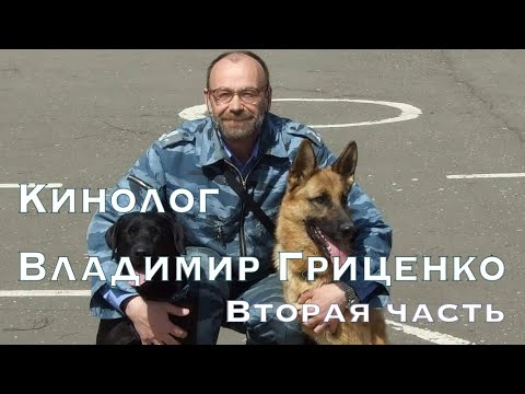 Видео: Кинолог Владимир Гриценко об интеллекте собак и важности среды для развития. Вторая часть.