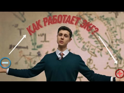 Видео: Как работает ЭКГ? (подробно).