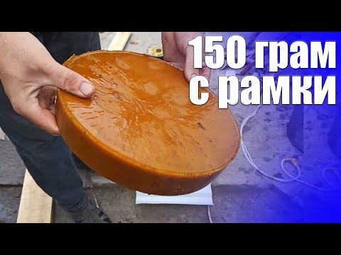 Видео: Вытопка воска. Перетопка воска 150 грам с рамки. Воскопрес кулакова