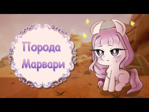 Видео: Новая порода Марвари в Wild Horse Islands!