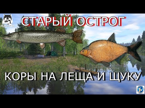 Видео: 🌟СТАРЫЙ ОСТРОГ🌟ГДЕ ЛЕЩ И ЩУКА?🌟Русская Рыбалка 4(РР4)🌟