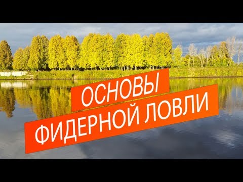 Видео: Основы фидерной ловли. Выбор места ловли