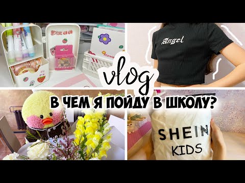 Видео: В чём я пойду в школу?! ЭСТЕТИЧНАЯ КАНЦЕЛЯРИЯ И ОДЕЖДА SHEIN