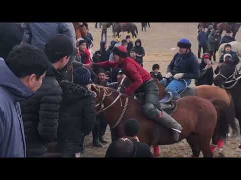 Видео: 🇰🇿 29.01.2022ж Мақтаарал ауданы, Көкпарсай ауылында өткен көкпар.