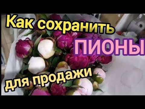 Видео: Поставка срезки пионов в цветочный магазин ч.1./ Сеточки для пионов.