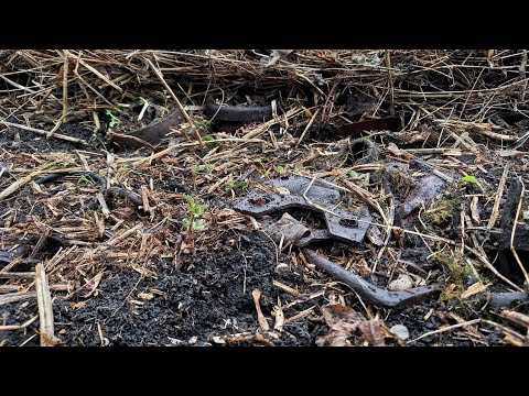 Видео: Коп в нетронутой деревне! Часть 2!