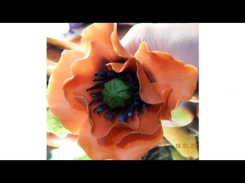 Видео: Мак из холодного фарфора мастер класс