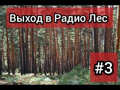 Видео: Два похода в Радио ЛЕС в поисках дорогого радиолома