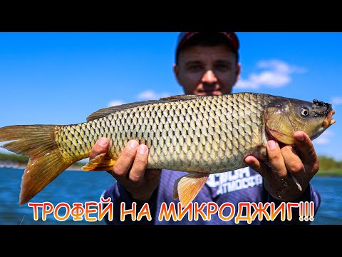 Видео: ТРОФЕЙНАЯ рыба на МИКРОДЖИГ!!! Уловистая снасть! Рабочие приманки. Тест катушки.