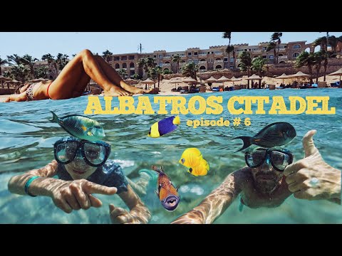 Видео: Альбатрос Цитадель эпизод # 6 Экскурсия в Хургаду, стоит ли ехать?! Пустой пляж - и такое возможно!