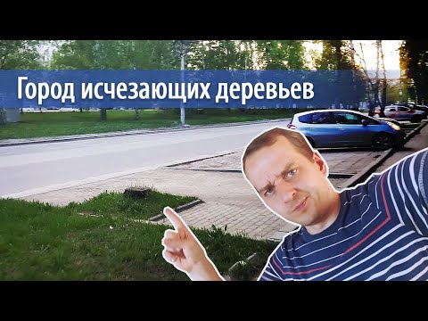 Видео: Что происходит с уличными деревьями Екатеринбурга?