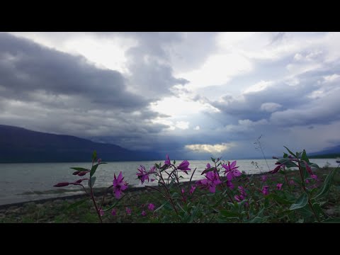 Видео: Плато Путорана, часть 5, озеро Глубокое, река Глубокая