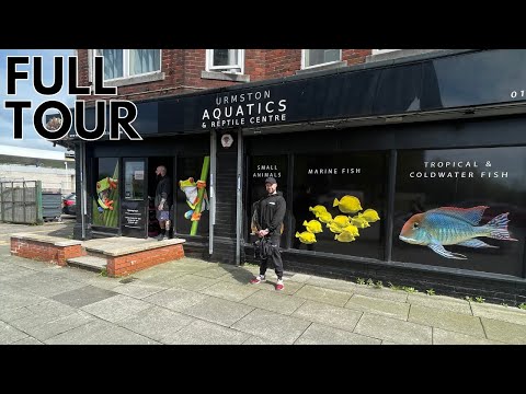 Видео: Экскурсия по рыбному магазину в URMSTON AQUATICS MANCHESTER