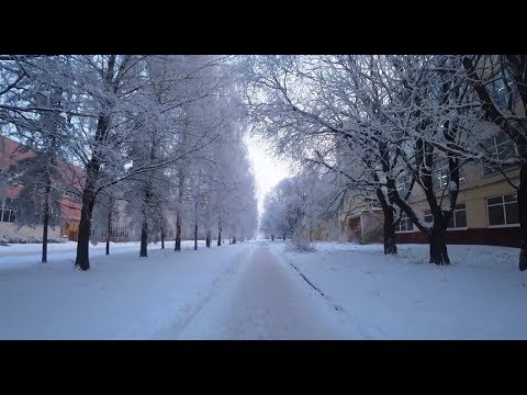 Видео: Один день молодого пенсионера.