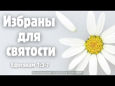 Видео: Избраны для святости | Aleksej Novak 14.09.2025