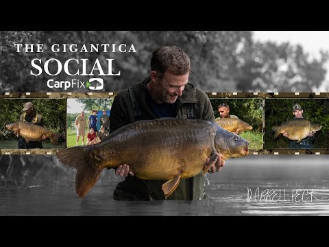 Видео: Gigantica Social, Даррелл Пек