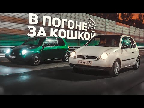 Видео: Поехали в Москву за лупо