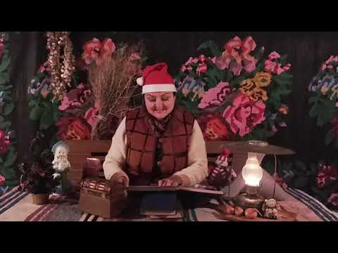 Видео: Занятие "Речевое развитие" - Зимний лес