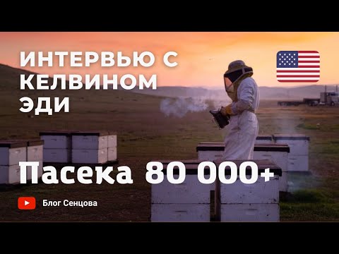 Видео: 80000+ крупнейший пчеловод в США Келвин Эди (интервью)