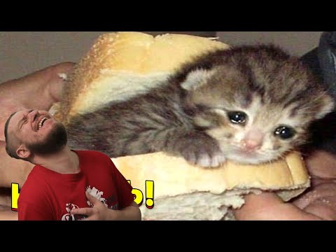 Видео: ЗАСМЕЯЛСЯ - ПОДПИСАЛСЯ!! ЛУЧШИЕ ПРИКОЛЫ 2021 ТЕСТ НА ПСИХИКУ УГАР! #456 - РЕАКЦИЯ НА СОЮЗ СМЕХА