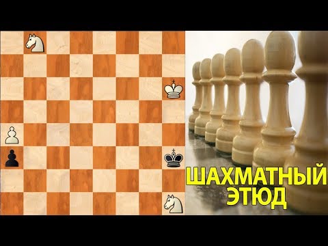 Видео: ШАХМАТНЫЙ ЭТЮД. ПОГОНЯ ЗА ПЕШКОЙ-БЕГЛЯНКОЙ