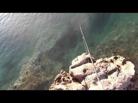 Видео: Рыбалка в Черногории 2015г