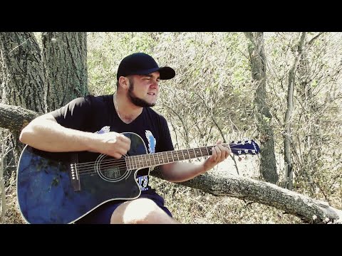 Видео: ЧИЖ & Co - ФАНТОМ / Кавер под Гитару