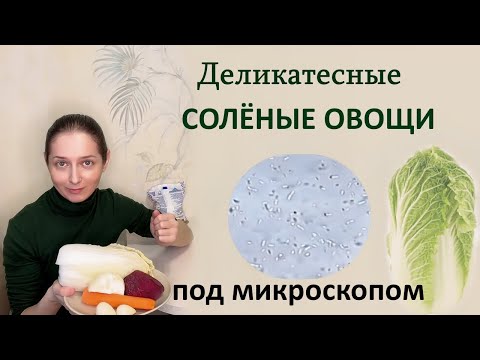 Видео: Рецепт солёной пекинской капусты с сельдереем. +рН, +микрофлора