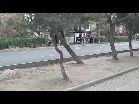 Видео: #азербайджан #Баку #Монтино Ага-Нейматулла, МОНТИНО.Угол Ленинградский проспект.