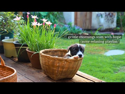 Видео: нежное утро начинается с надежды - /плейлист с расслабляющей музыкой asmr/