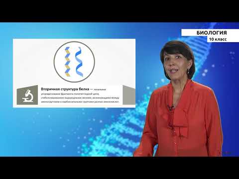 Видео: 10-класс | Биолoгия | Органические и неорганические вещества, входящие в состав клетки.