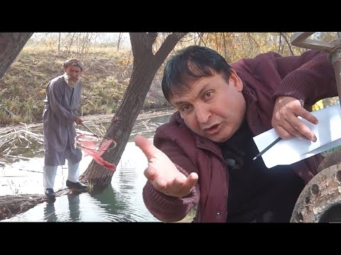 Видео: Муйсафеди Мохи дузд сахни нав 2025