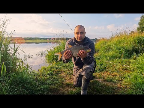 Видео: Поймал трофейного леща на донки Крокодил / Новое рыбное место / Уха на костре