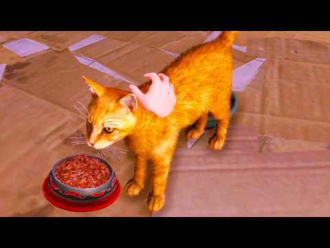 Видео: Приют для Кошек #1 Баги Animal Shelter 2 Prologue на Пурумчата